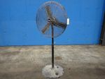 Central Machinery Pedestal Fan