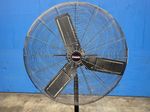 Central Machinery Pedestal Fan