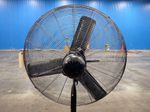 Central Machinery Pedestal Fan