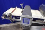 Safeline Metal Detector