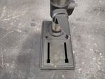 Dayton  Drill Press