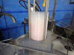 Packaging Technologies Capper