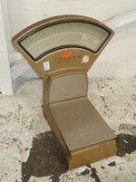 Triner  Scale 