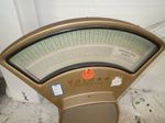 Triner  Scale 