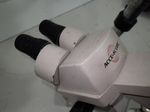 Accuscope Microscope