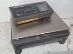 Digi Scale 
