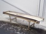 Plastic Process Equipment Inc Belt Conveyor
