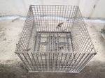  Collapsible Wire Basket