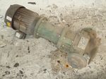 Ansimag Pump