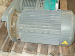 Netzsch Pump