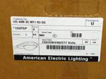 American Eagle Lighting Light Fixture