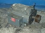 Us Electrical Motors Motor