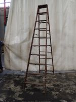  Step Ladder