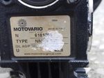 Motovario Gear Reducer
