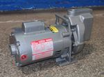 Teel Dayton Centrifugal Pump