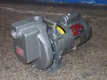 Teel Dayton Centrifugal Pump