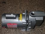 Teel Dayton Centrifugal Pump