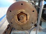 Bonnot Extruder