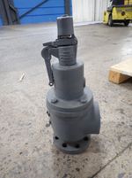 Nasvi Valve