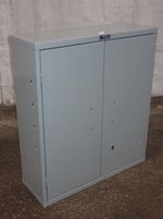 Pucel Storage Cabinet 