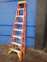 Werner Ladder