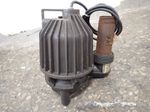 Rigid Sewage Pump