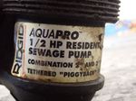 Rigid Sewage Pump