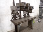 Clausing Clausing 1657 Four Head Drill Press
