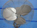 Dayton Pedestal Fan