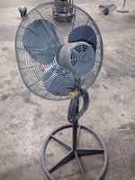 Dayton Pedestal Fan