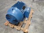 Weg Inverter Duty Motor