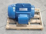 Weg Inverter Duty Motor