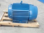 Weg Inverter Duty Motor