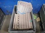  Conveyor Belts