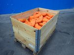 Certex Polyester Roundsling