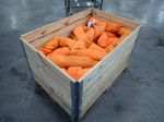 Certex Polyester Roundsling