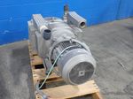 Becker Vacuum Pump