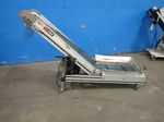 Crizaf Incline Conveyor