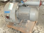 Nash Elmo Vacuum Pump