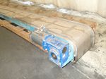 Bunting  Ss Magnetic Conveyor