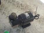 Bodine Electric Company Gear Motor