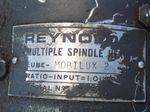 Reynold Spindle