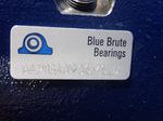 Blue Brute Bearing