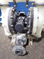 Allflo Diaphragm Pump