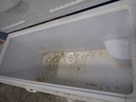 General Electric Household Freezer