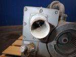 Busch Vaccuum Pump