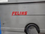 Felins Paktyer 2000