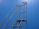 Triarc Step Ladder