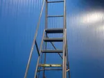 Triarc Step Ladder