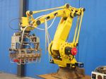 Fanuc Corp Robot